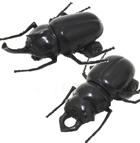 走る!カブトムシ&クワガタ1